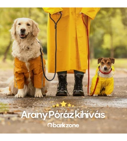 Ismerj meg minket és az Arany Póráz kihívást!