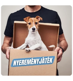Arany Póráz Nyereményjáték