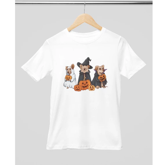 labrador-halloweeni-kutya--polo