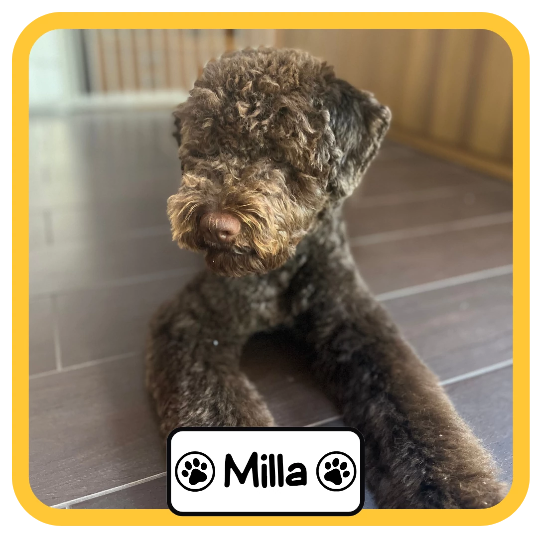 Milla