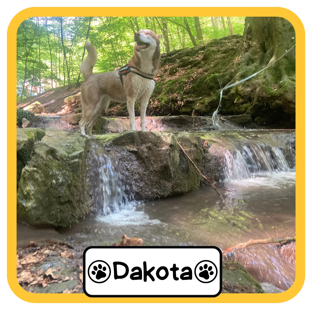 Dakota