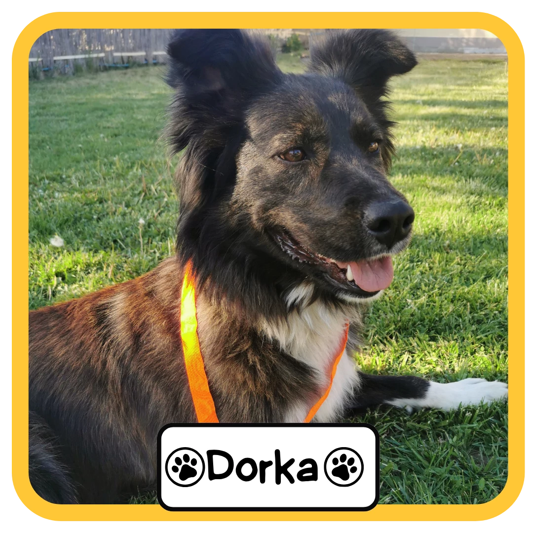 Dorka