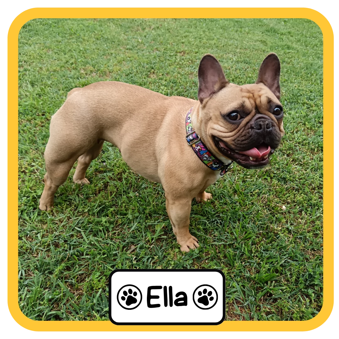 Ella