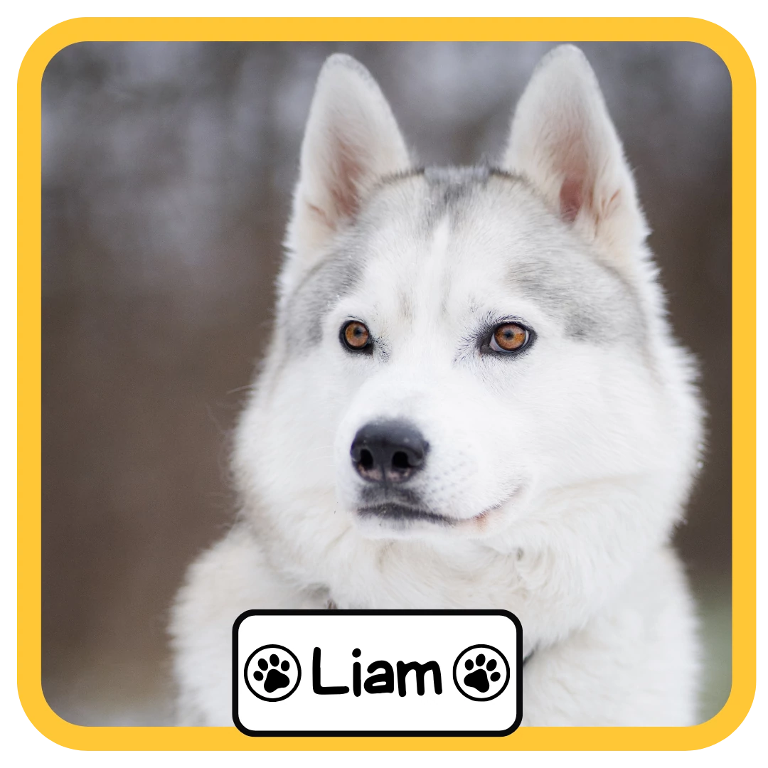 Liam