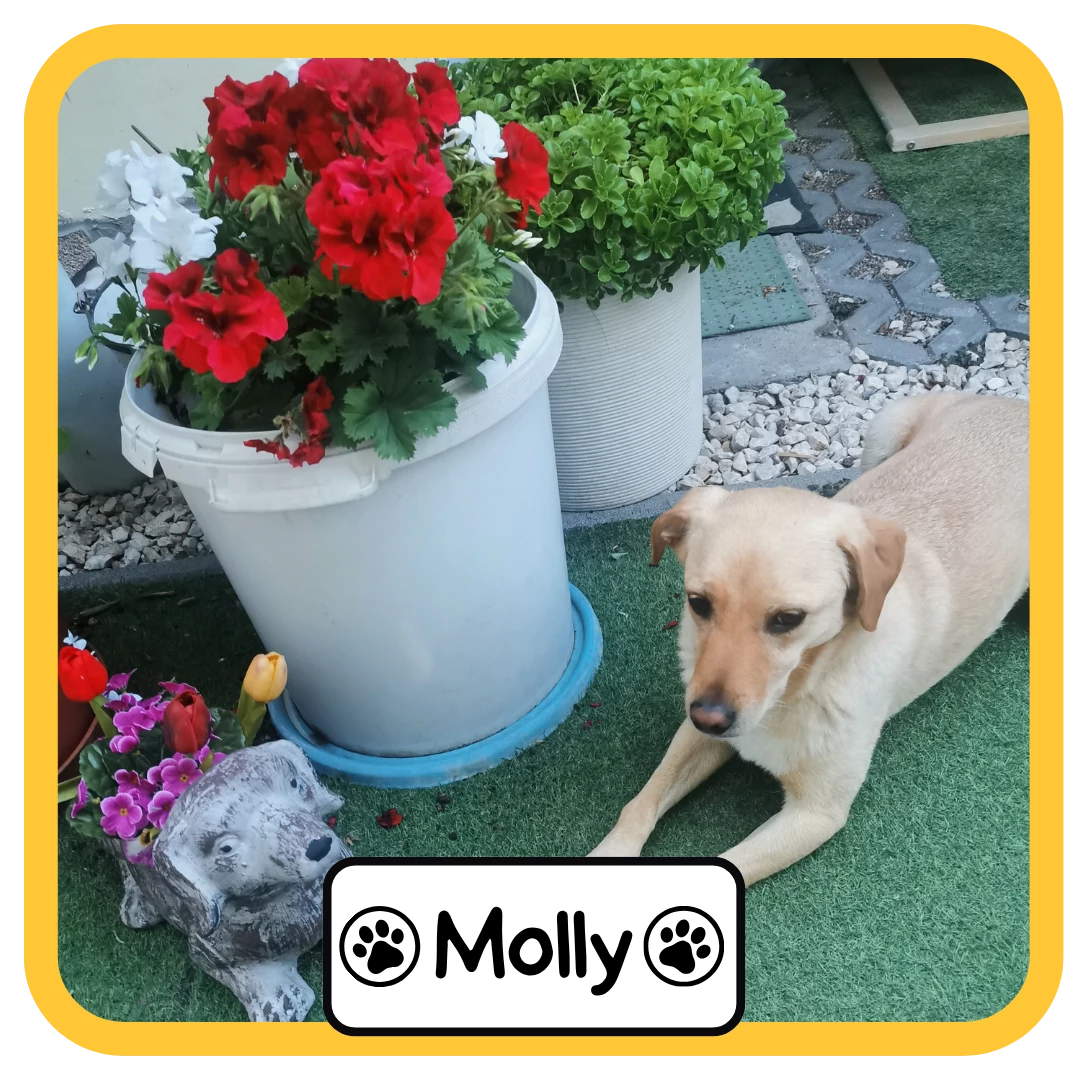 Molly