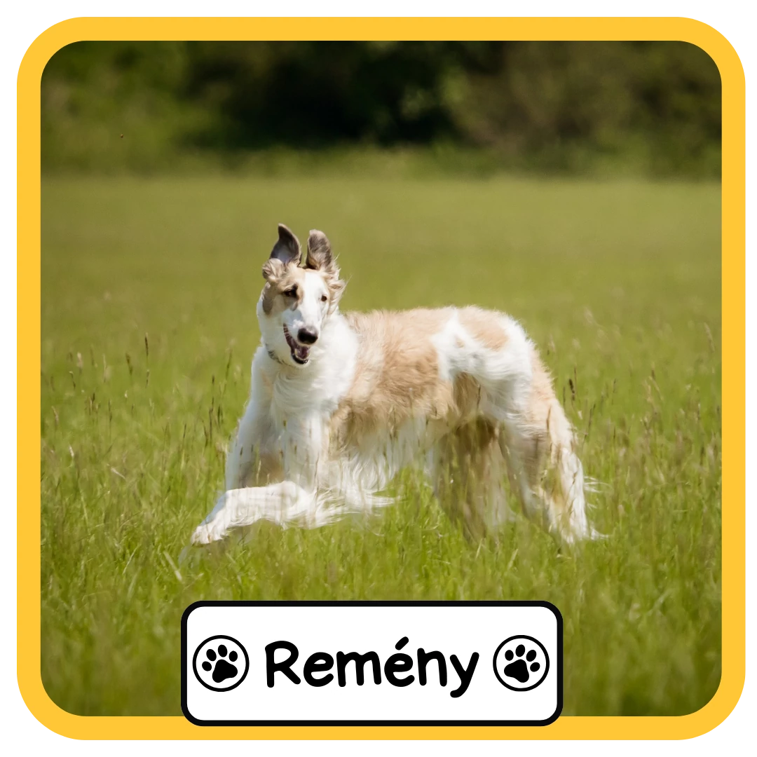 Remény
