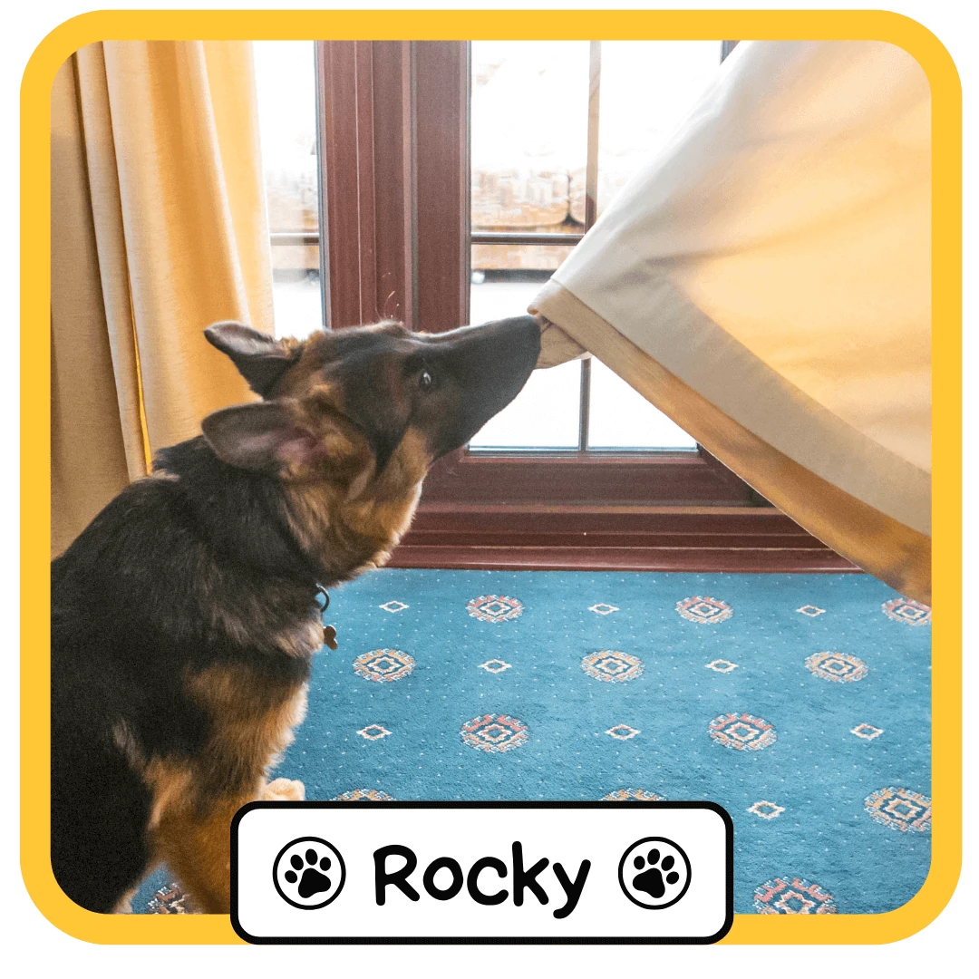 Rocky a bajkeverő