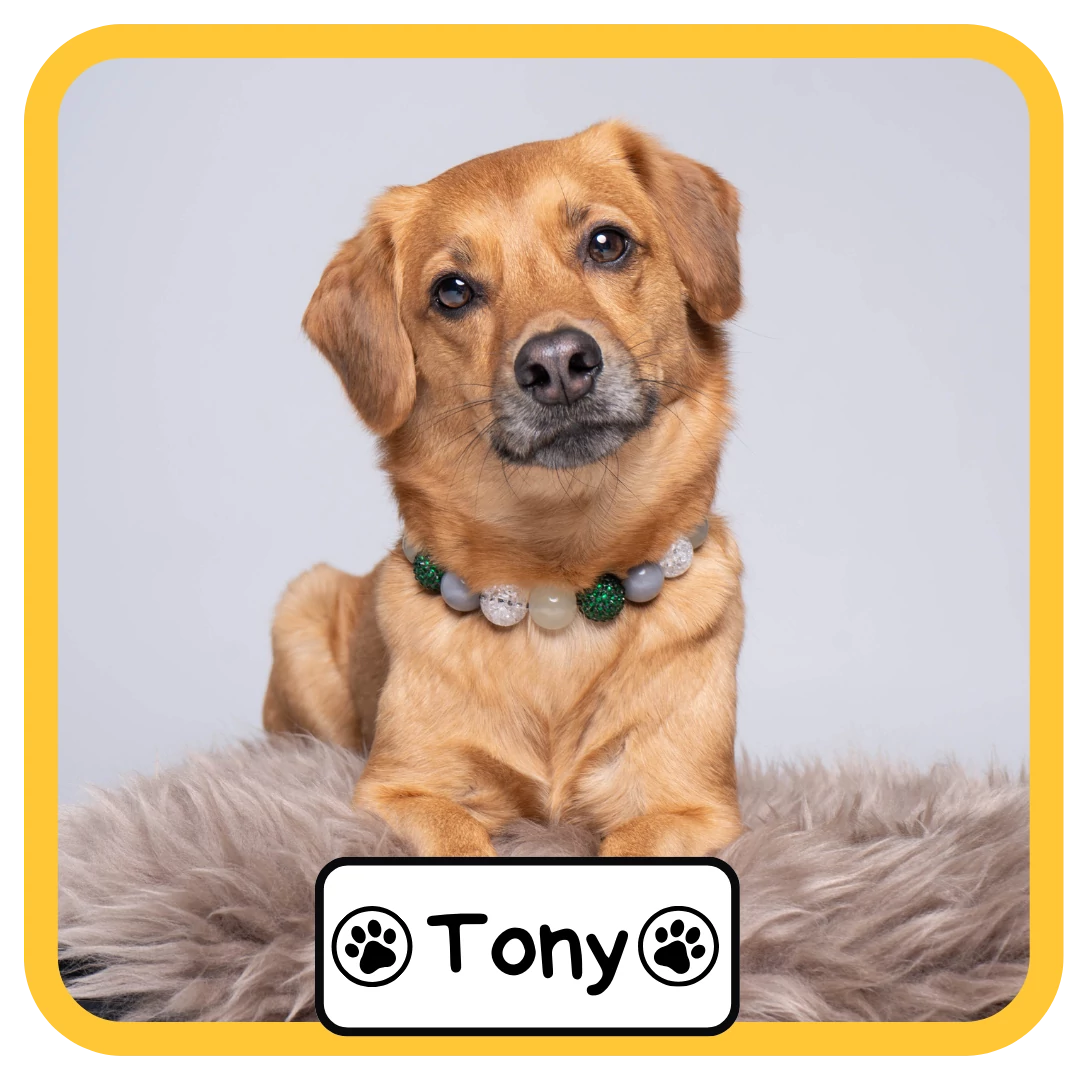 Tony