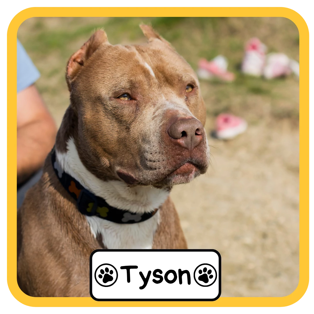 Tyson